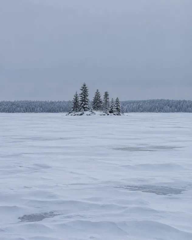 Jäätynyt järvi lumisena, keskellä pieni saari ja siinä lumisia kuusia
