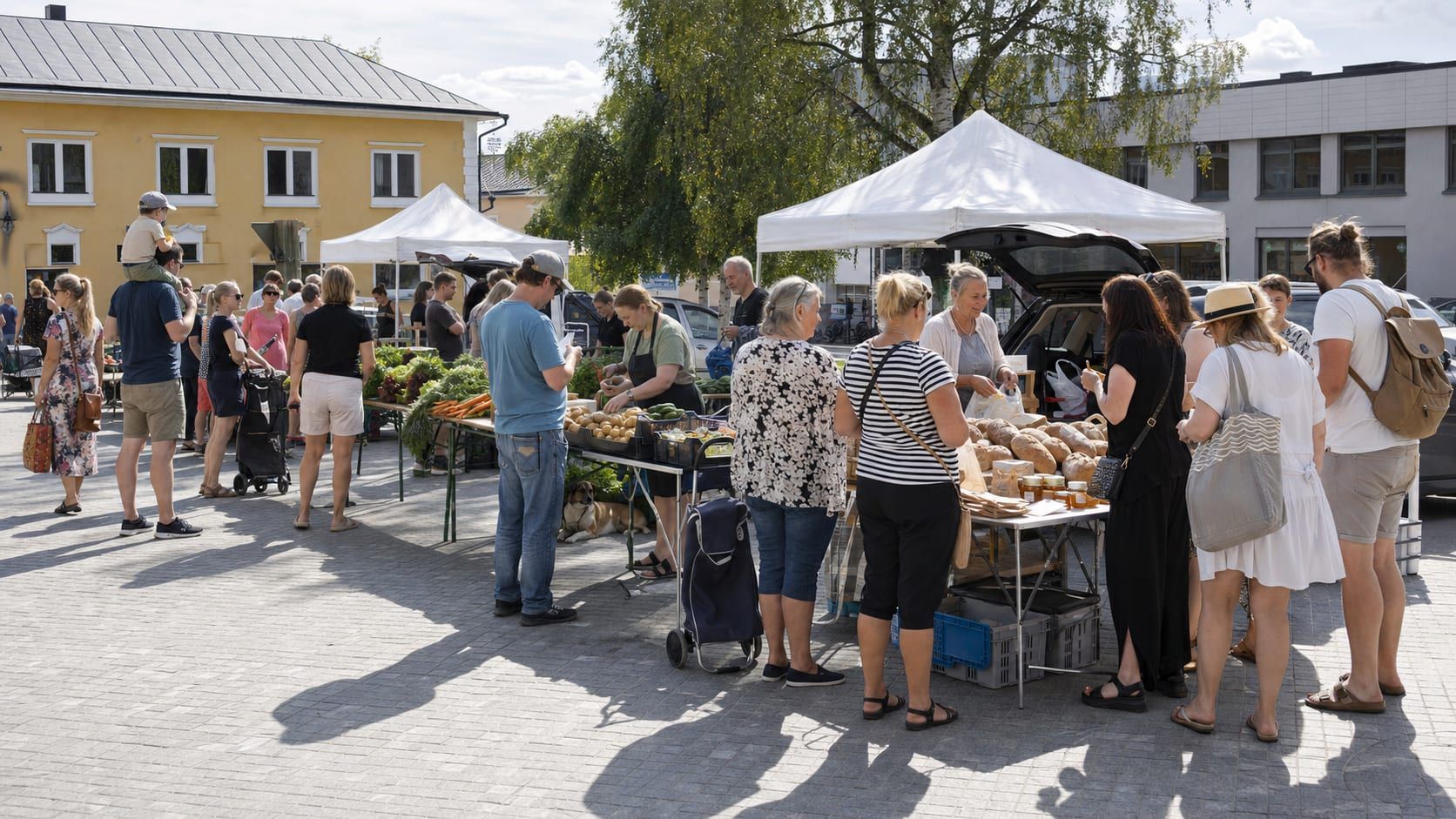 Ihmisiä aurinkoisella torilla leipä-, juures- ja hunajapöytien ääressä, taustalla valkoisia telttakatoksia